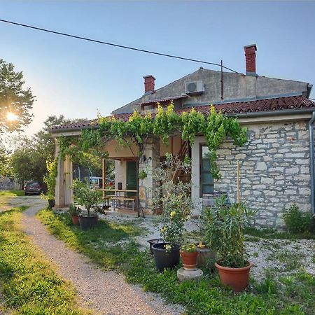 Rural Apartment Geja Umag Exterior foto